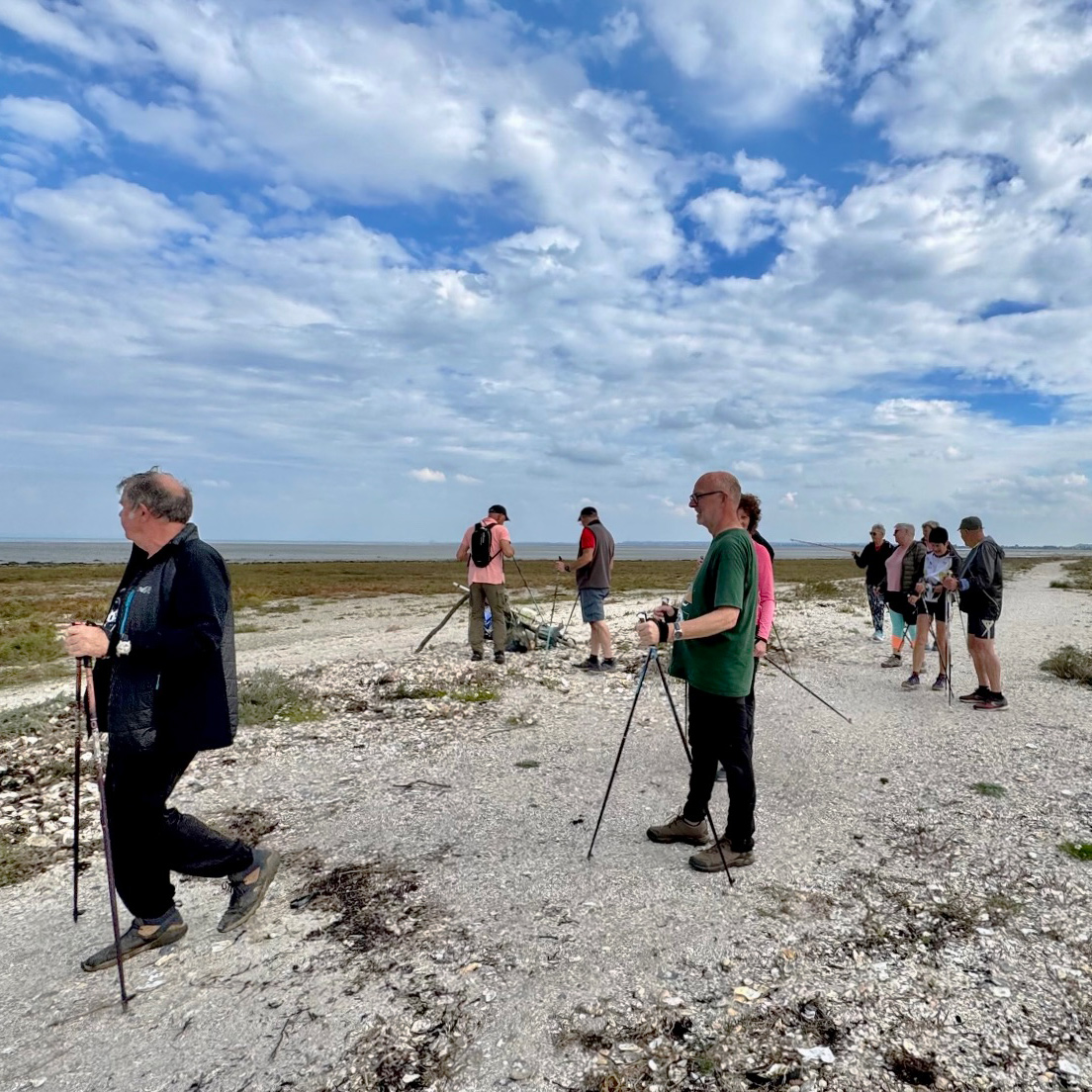 Pointe du Nid, Pointe des Daules