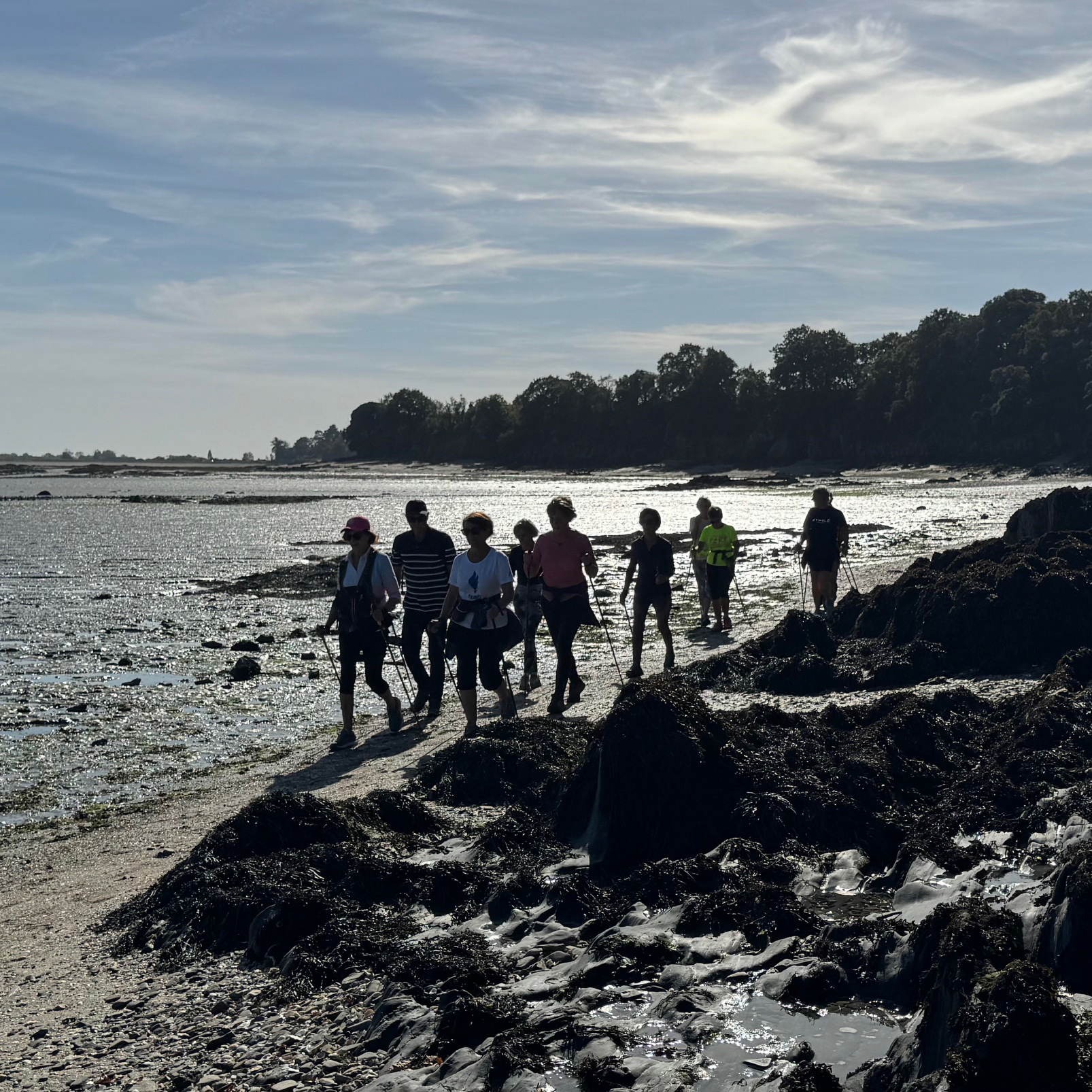 Pointe du Nid, Pointe des Daules