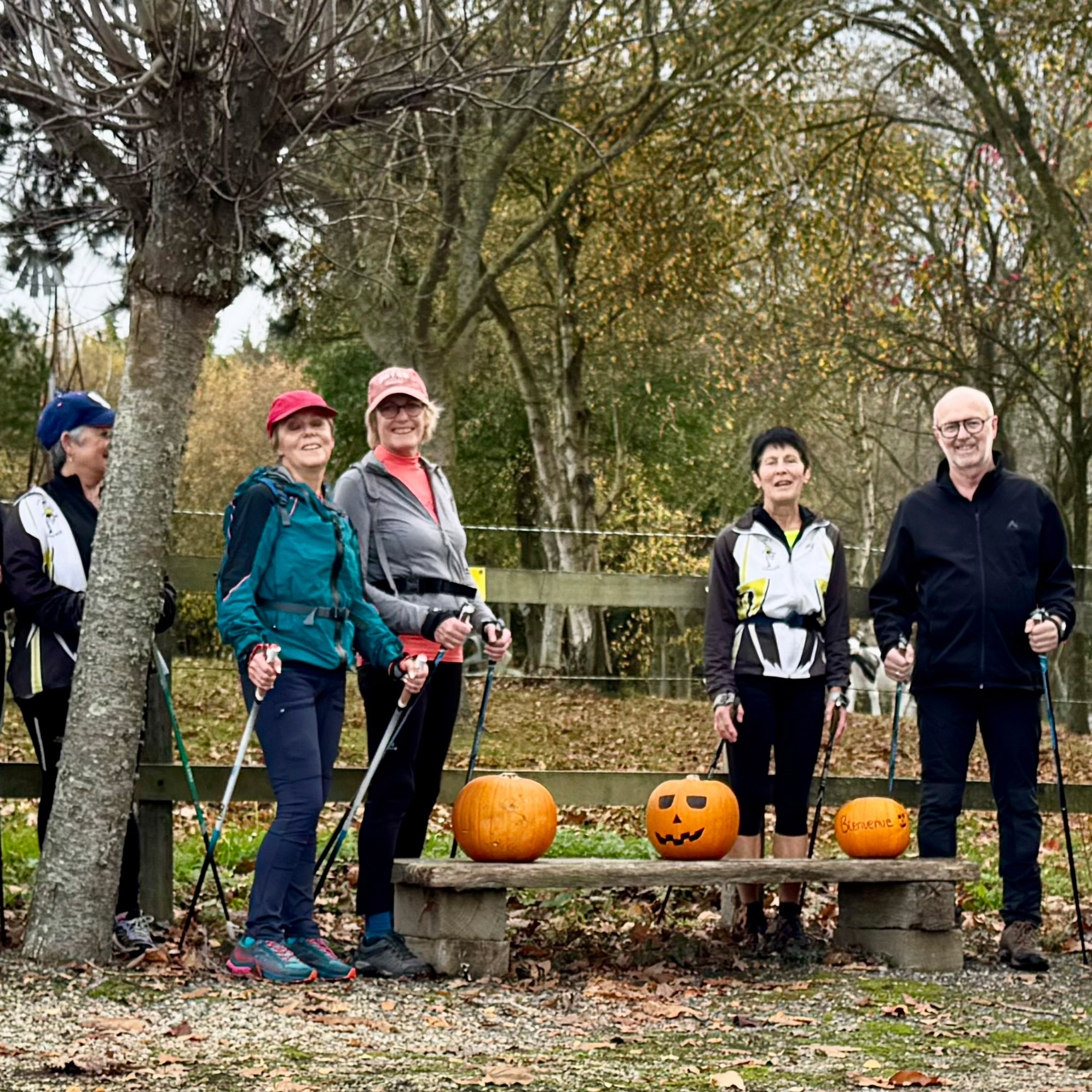 Pointe du Nid, Pointe des Daules
